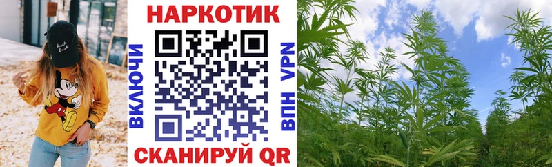 Где найти наркотики Гай kraken как зайти  Cocaine  ГАШ  Меф  Бошки Шишки 