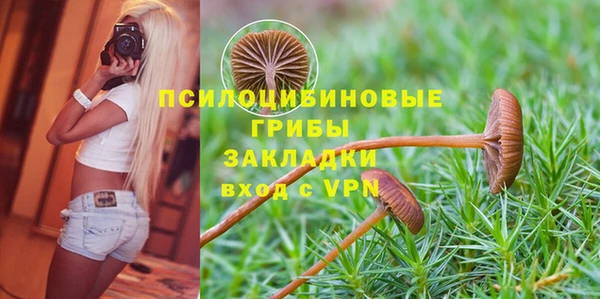 ПСИЛОЦИБИНОВЫЕ ГРИБЫ Беломорск
