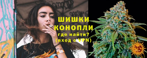 ПСИЛОЦИБИНОВЫЕ ГРИБЫ Беломорск
