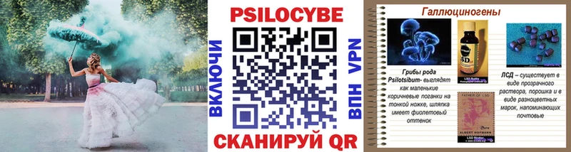 Псилоцибиновые грибы GOLDEN TEACHER  МЕГА онион  Гай 